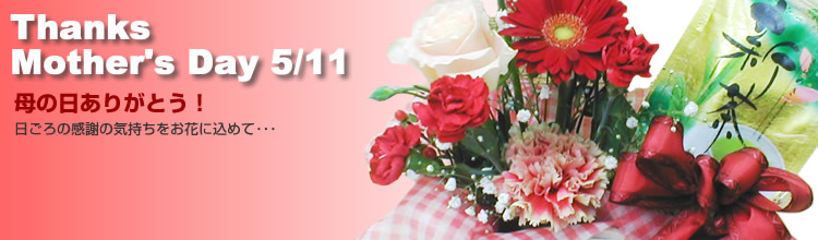 Thanks Mother's Day 5/11 ̓肪ƂI̊ӂ̋CԂɍ߂ĥB